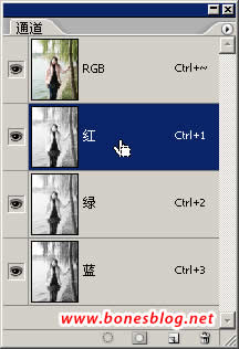 Photoshop虚化照片背景