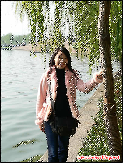 Photoshop虚化照片背景