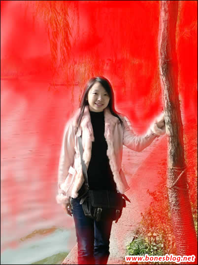 Photoshop虚化照片背景