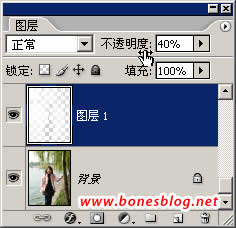 Photoshop虚化照片背景