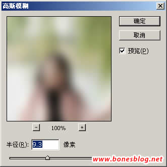 Photoshop虚化照片背景