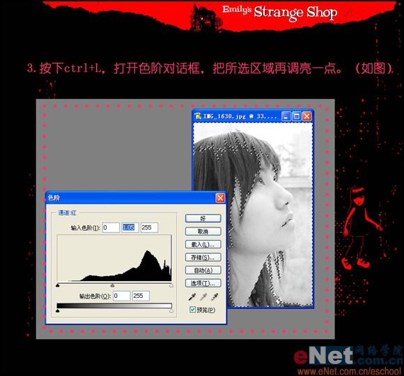PhotoshopʹMMƤ̳