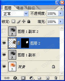 用Photoshop打造漂亮的斑马纹玫瑰