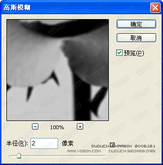 用Photoshop打造漂亮的斑马纹玫瑰