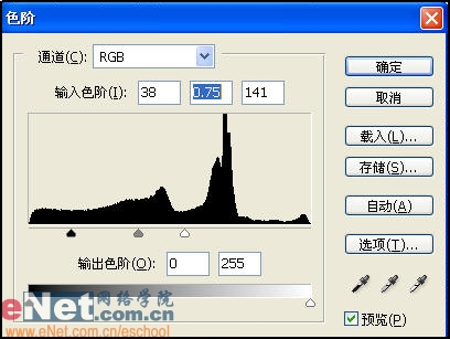 Photoshop打造飞发美眉素描效果