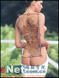 Photoshop给漂亮MM做性感纹身