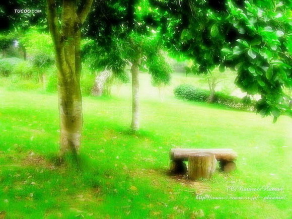 13090250_2006021314374485041100.jpg