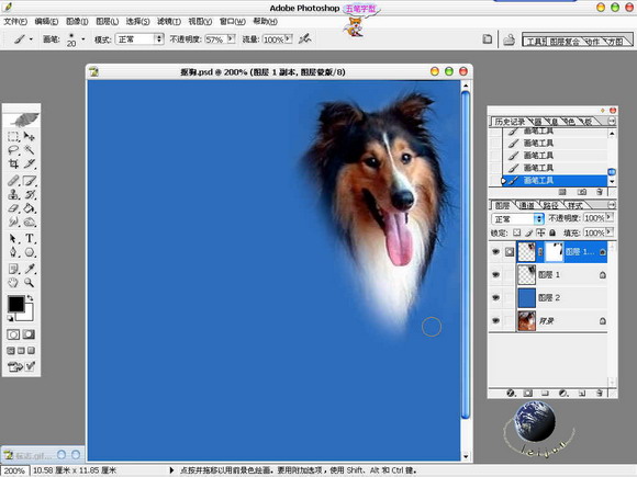 Photoshop给美丽的狗狗抠图