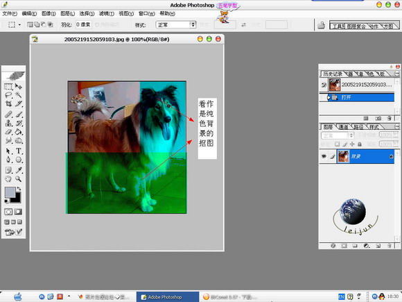 Photoshop给美丽的狗狗抠图