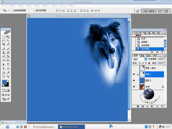 Photoshop给美丽的狗狗抠图
