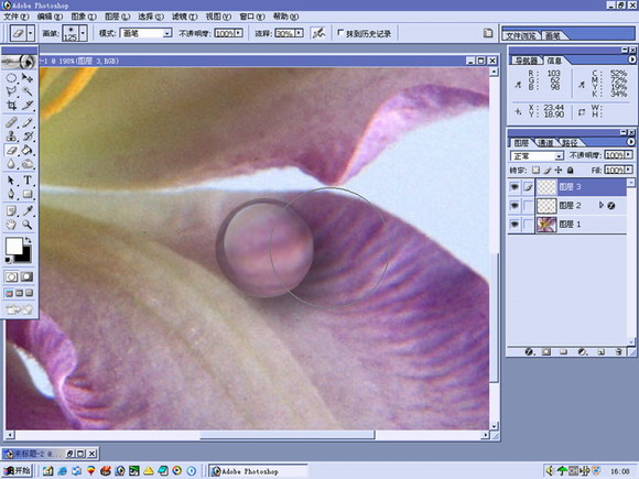 PHOTOSHOP¶