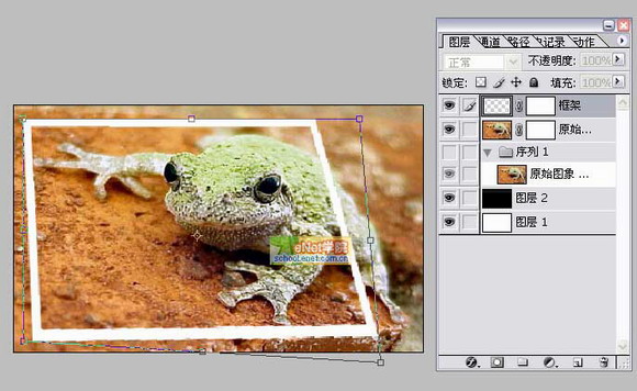 Photoshop打造陷入照片的青蛙