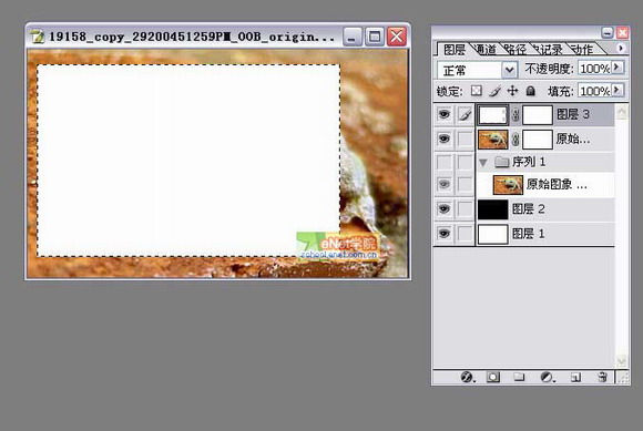 Photoshop打造陷入照片的青蛙