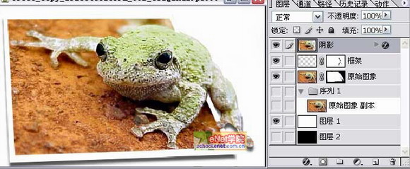 Photoshop打造陷入照片的青蛙