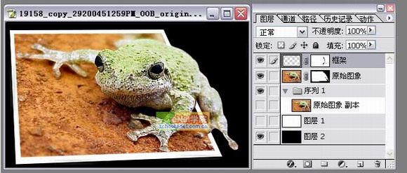 Photoshop打造陷入照片的青蛙