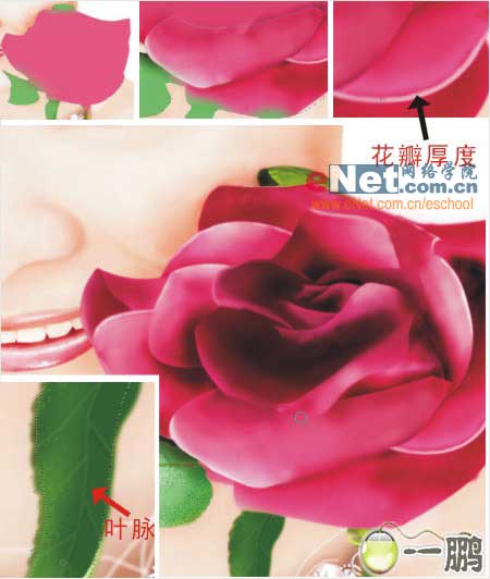 鼠绘 美女 婚纱