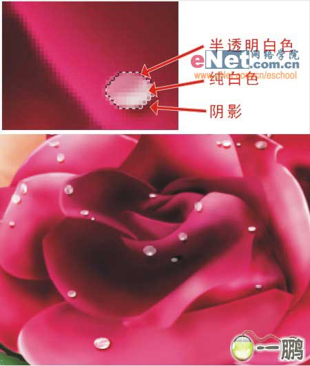 鼠绘 美女 婚纱